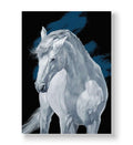 White horse portrait against dark blue and black background canvas wall art.