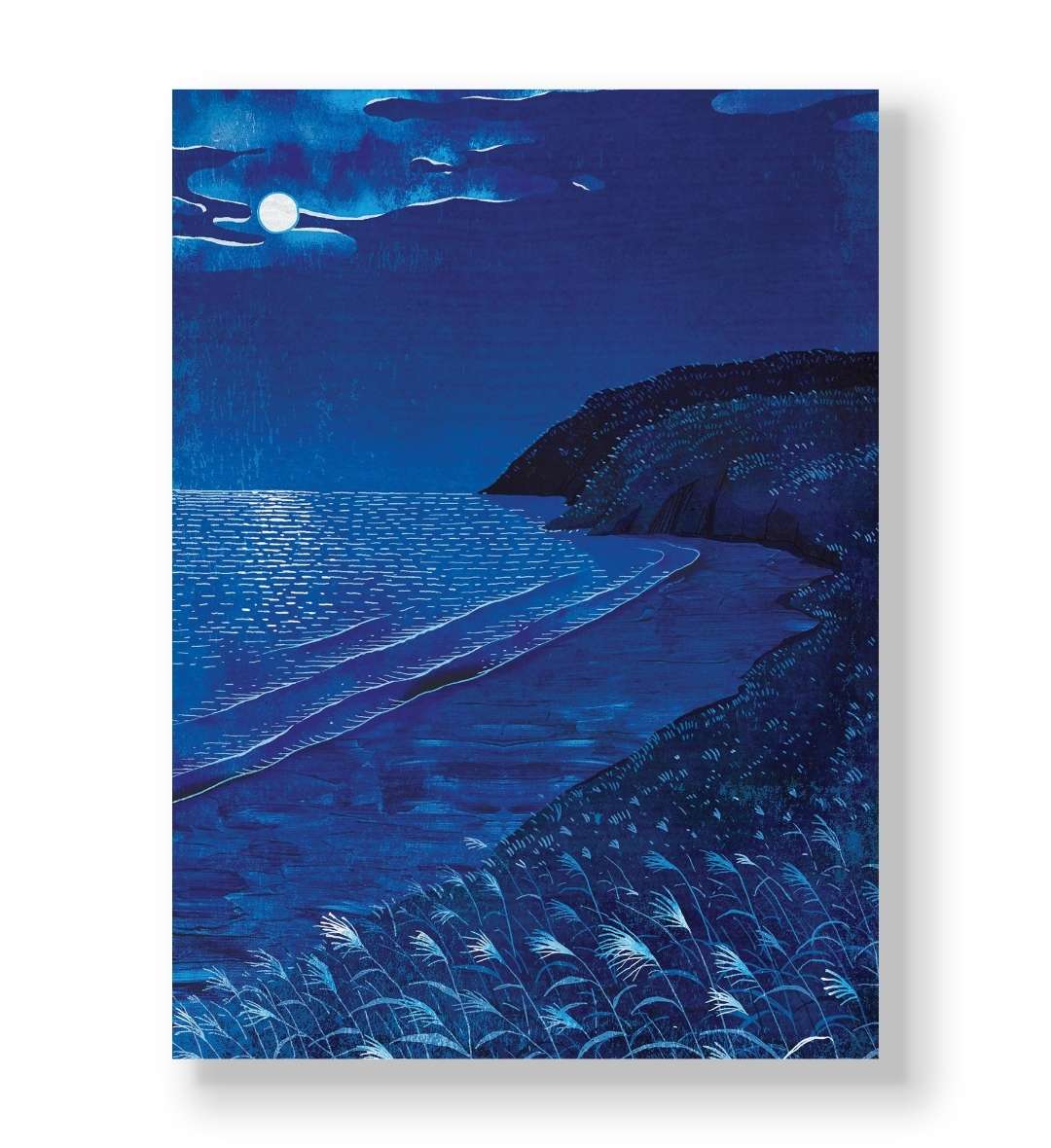 Moonlit beach landscape with swaying grass and dark cliffs canvas wall art.