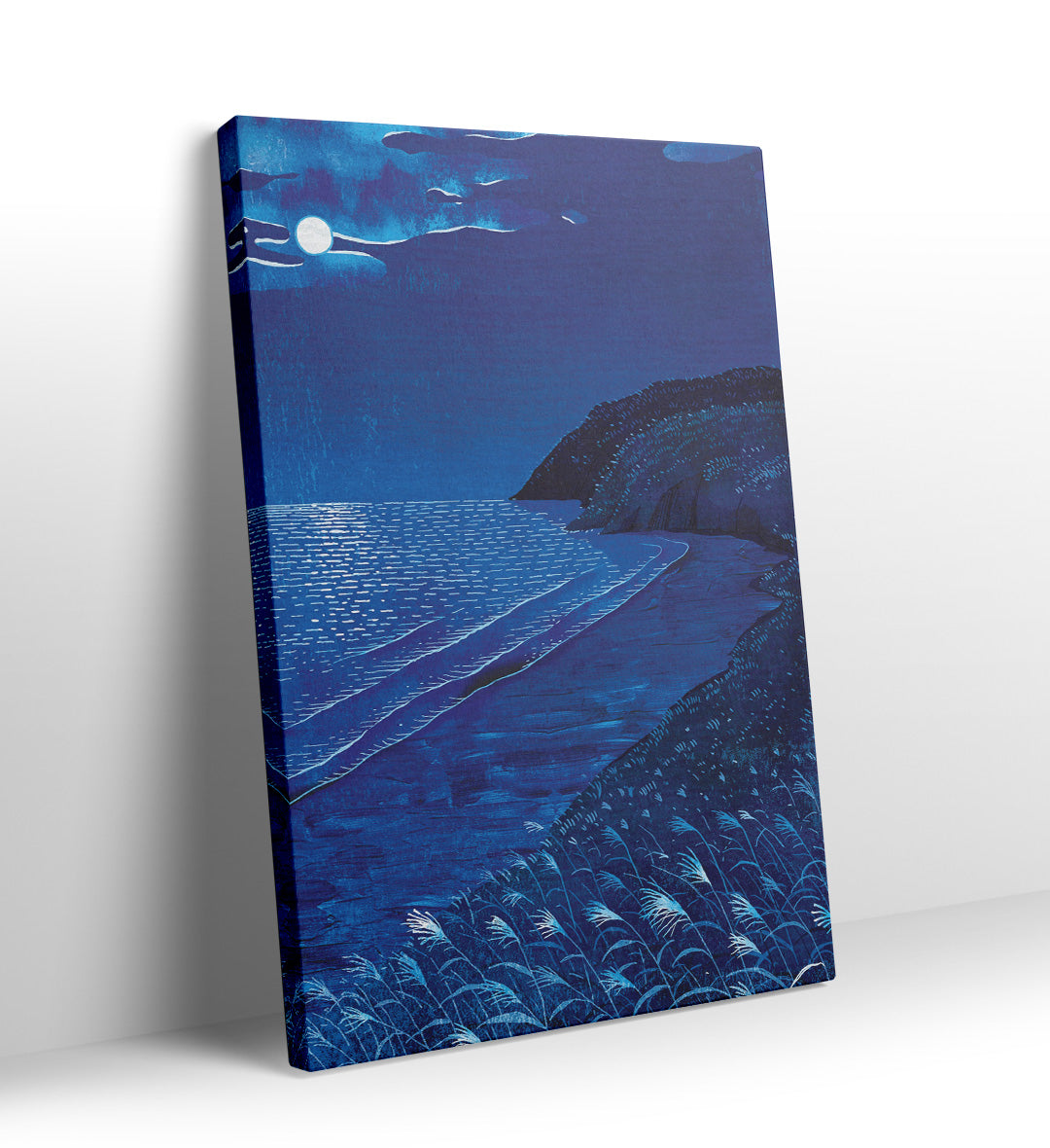 Detail of white moonlight reflecting on ocean waves and textured grass.