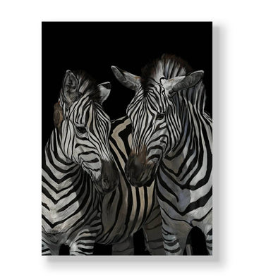 Two zebras standing close together against a solid black background canvas wall art.