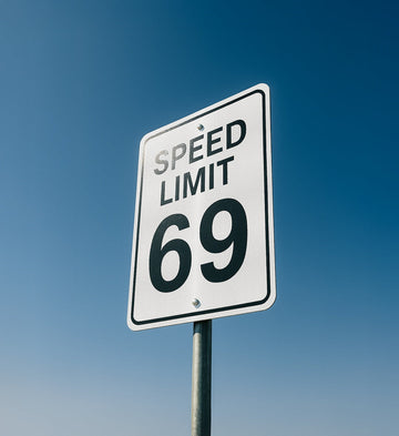 Laugh-out-loud "speed limit 69" street sign home decor, pure fun for conversation stater.